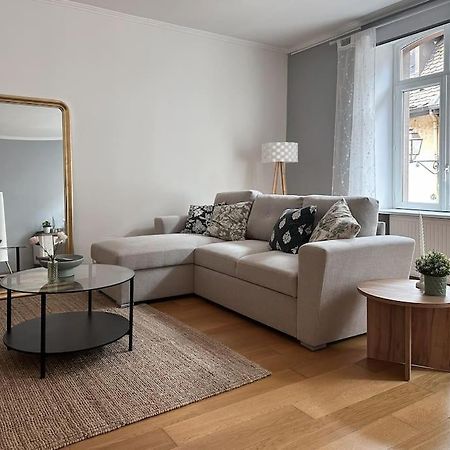 Hypercentre 80M2, A Deux Pas Du Chateau Des Rohan Saverne Ngoại thất bức ảnh