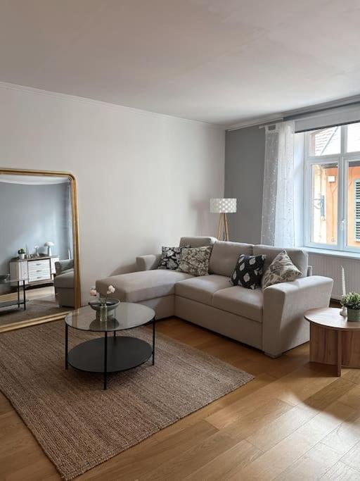 Hypercentre 80M2, A Deux Pas Du Chateau Des Rohan Saverne Ngoại thất bức ảnh