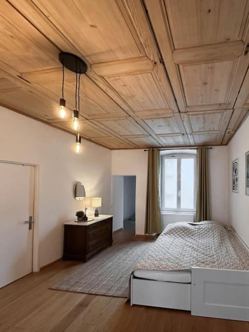 Hypercentre 80M2, A Deux Pas Du Chateau Des Rohan Saverne Ngoại thất bức ảnh