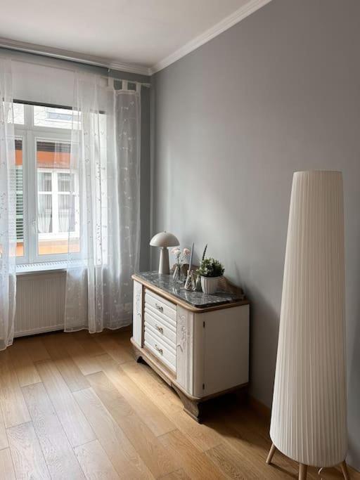 Hypercentre 80M2, A Deux Pas Du Chateau Des Rohan Saverne Ngoại thất bức ảnh