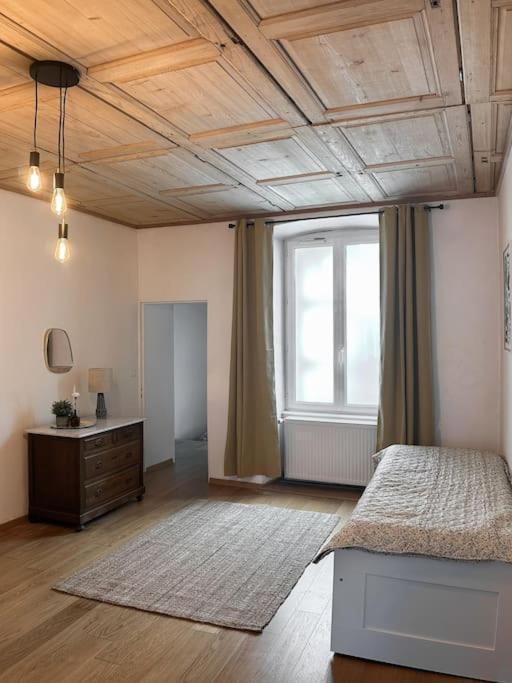 Hypercentre 80M2, A Deux Pas Du Chateau Des Rohan Saverne Ngoại thất bức ảnh