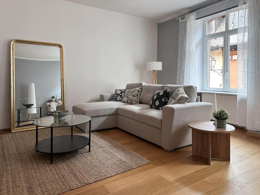 Hypercentre 80M2, A Deux Pas Du Chateau Des Rohan Saverne Ngoại thất bức ảnh